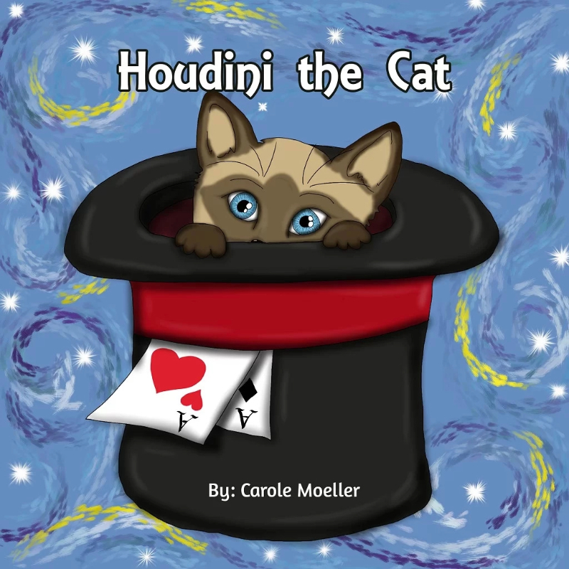 Houdini the cat
