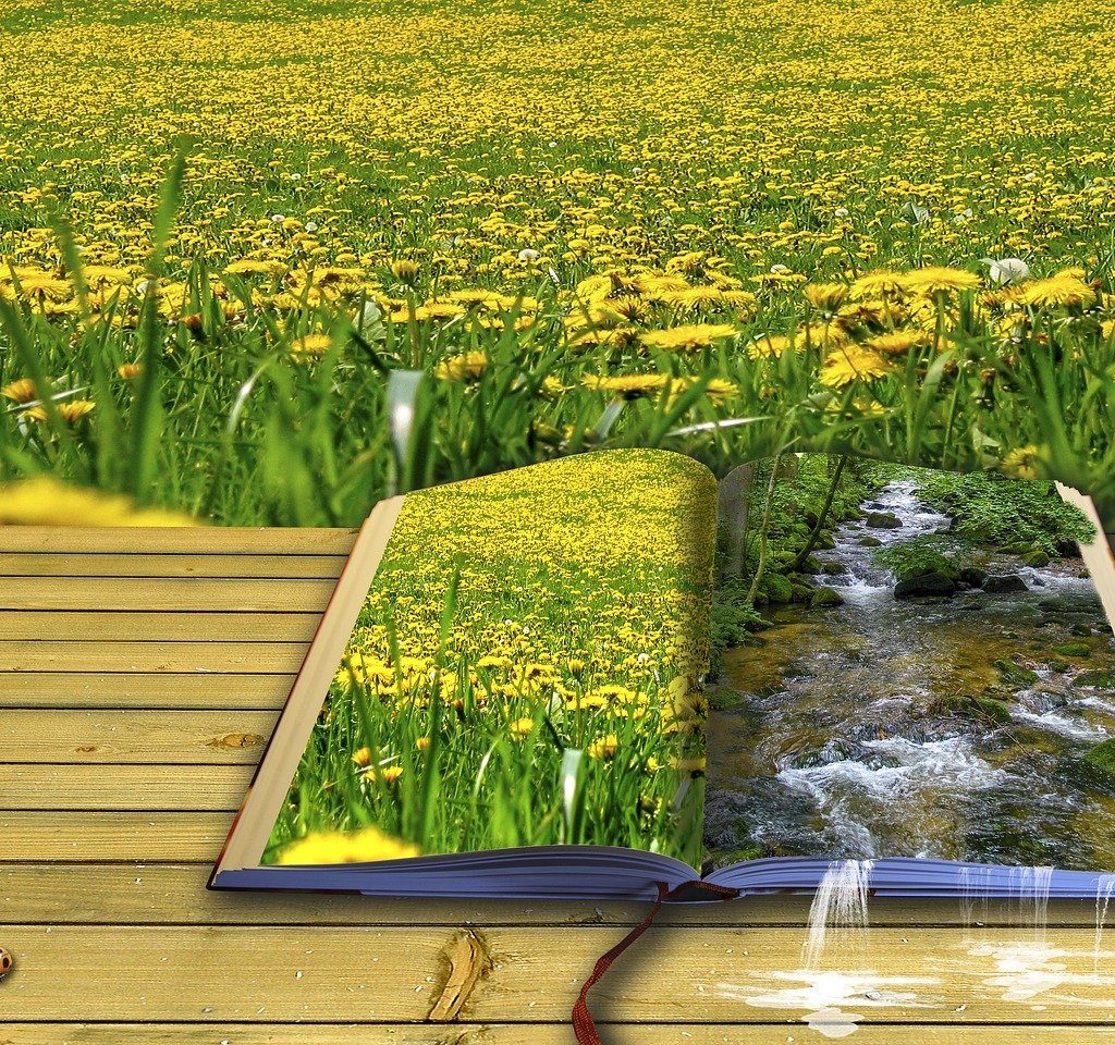 Writing Real Emotion: Poetry as a Form of Nonfiction Expression